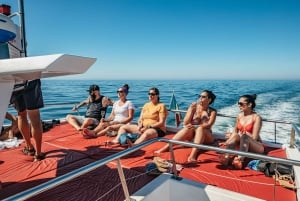 Passeio de barco de 3 horas pelas cavernas e pela costa do Algarve