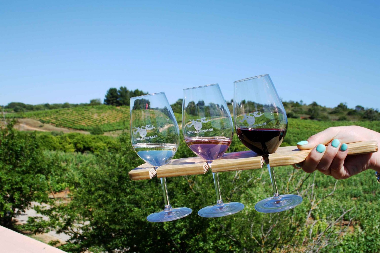 Algarve: 3 typer vinsmaking med utsikt over vingården