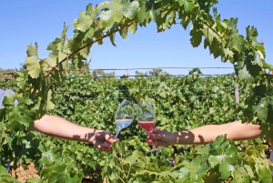 Algarve: 3 Types of Wine Tastings with Vineyard Views