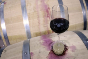 Algarve: 3 Arten von Weinverkostungen mit Blick auf die Weinberge