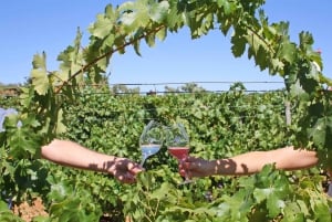 Algarve: 3 tipi di degustazioni di vini con vista sui vigneti