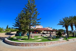 Algarve: 3 Types of Wine Tastings with Vineyard Views