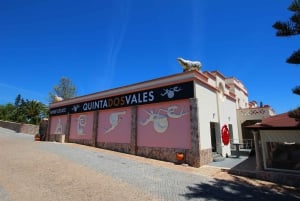 Algarve: 3 Types of Wine Tastings with Vineyard Views