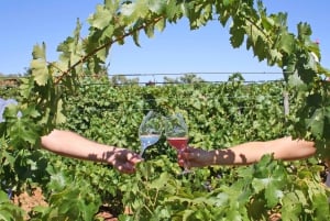 Algarve: 3 Types of Wine Tastings with Vineyard Views