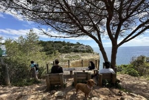 Algarve: 7 Seven Hanging Valley Hike Tour- Fotos & Transfer