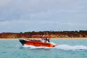 Algarve: Benagil Caves Open Speedboat Tour