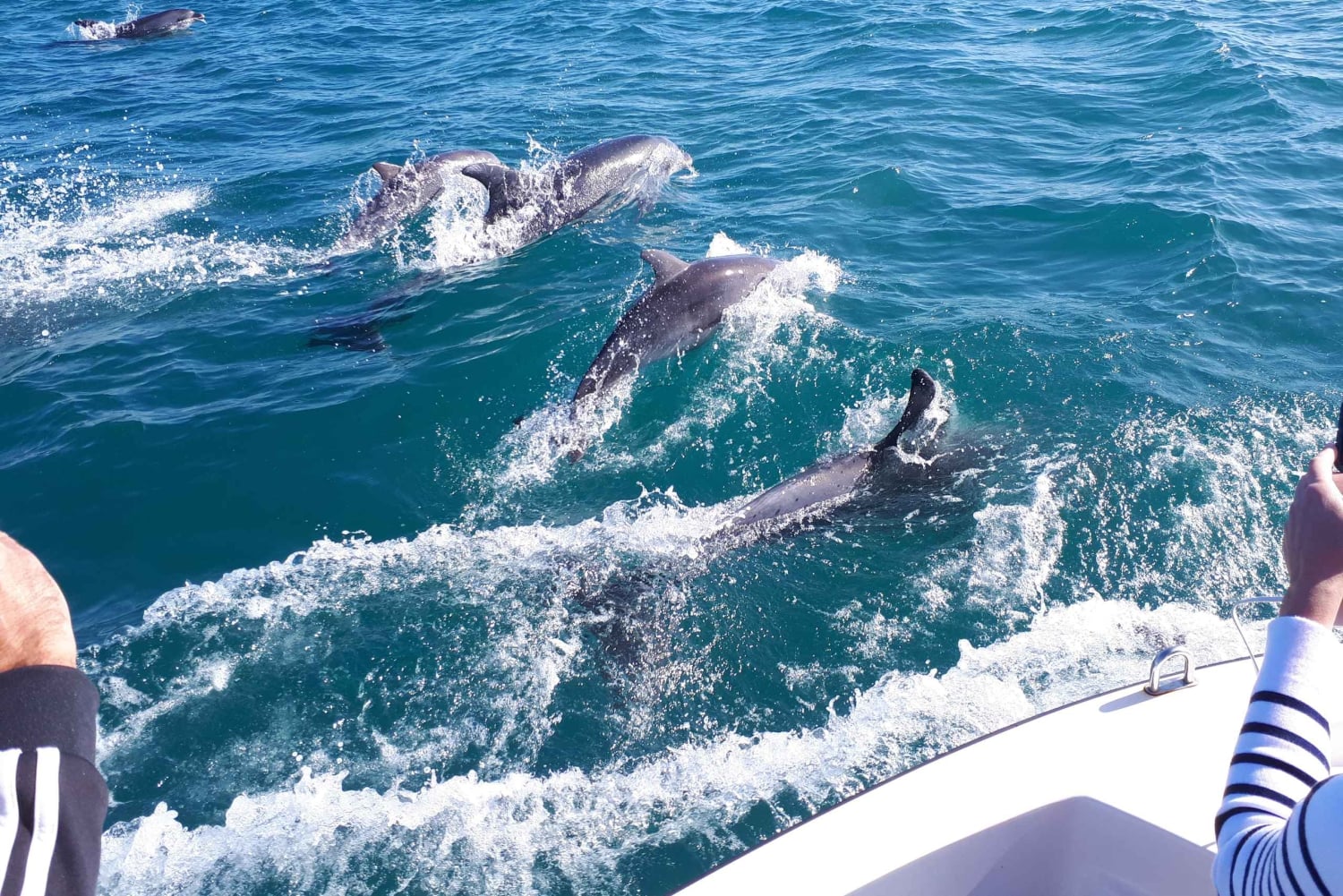 Algarve: Båttur til grottene i Benagil