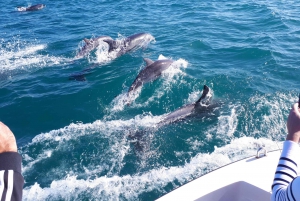 Algarve: Boat Trip to the Caves of Benagil