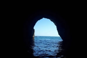 Algarve: Boat Trip to the Caves of Benagil