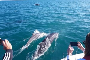 Algarve: Boat Trip to the Caves of Benagil