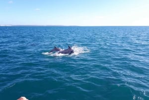 Algarve: Boat Trip to the Caves of Benagil