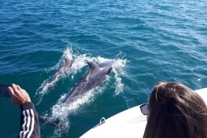 Algarve: Boat Trip to the Caves of Benagil