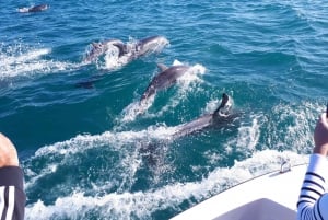 Algarve: Boat Trip to the Caves of Benagil