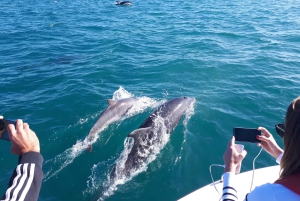 Algarve: Båttur til grottene i Benagil