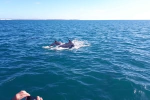 Algarve: Båttur til grottene i Benagil