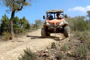 Algarve Buggy Tours