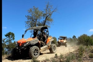 Algarve Buggy Tours