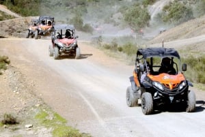 Algarve Buggy Tours