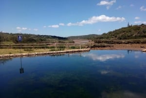 Algarve Cabrio Tours