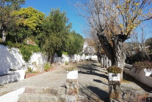 Algarve: Caldeirão Mountains and Villages Tour