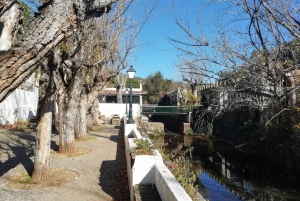 Algarve: Caldeirão Mountains and Villages Tour