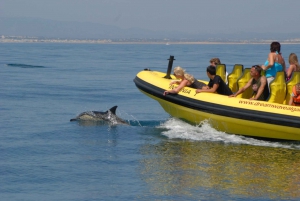 Algarve Coast: Dolphin Watching & Cave Tour