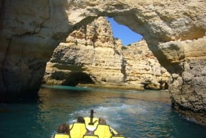 Costa dell'Algarve: Osservazione dei delfini e tour delle grotte