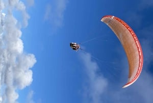 Algarve Coast: Paragliding Experience