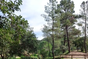 Algarve: kurkfabriek, Fonte Férrea Park en distilleerderij