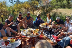 Algarve: Divine Dine in the Wild
