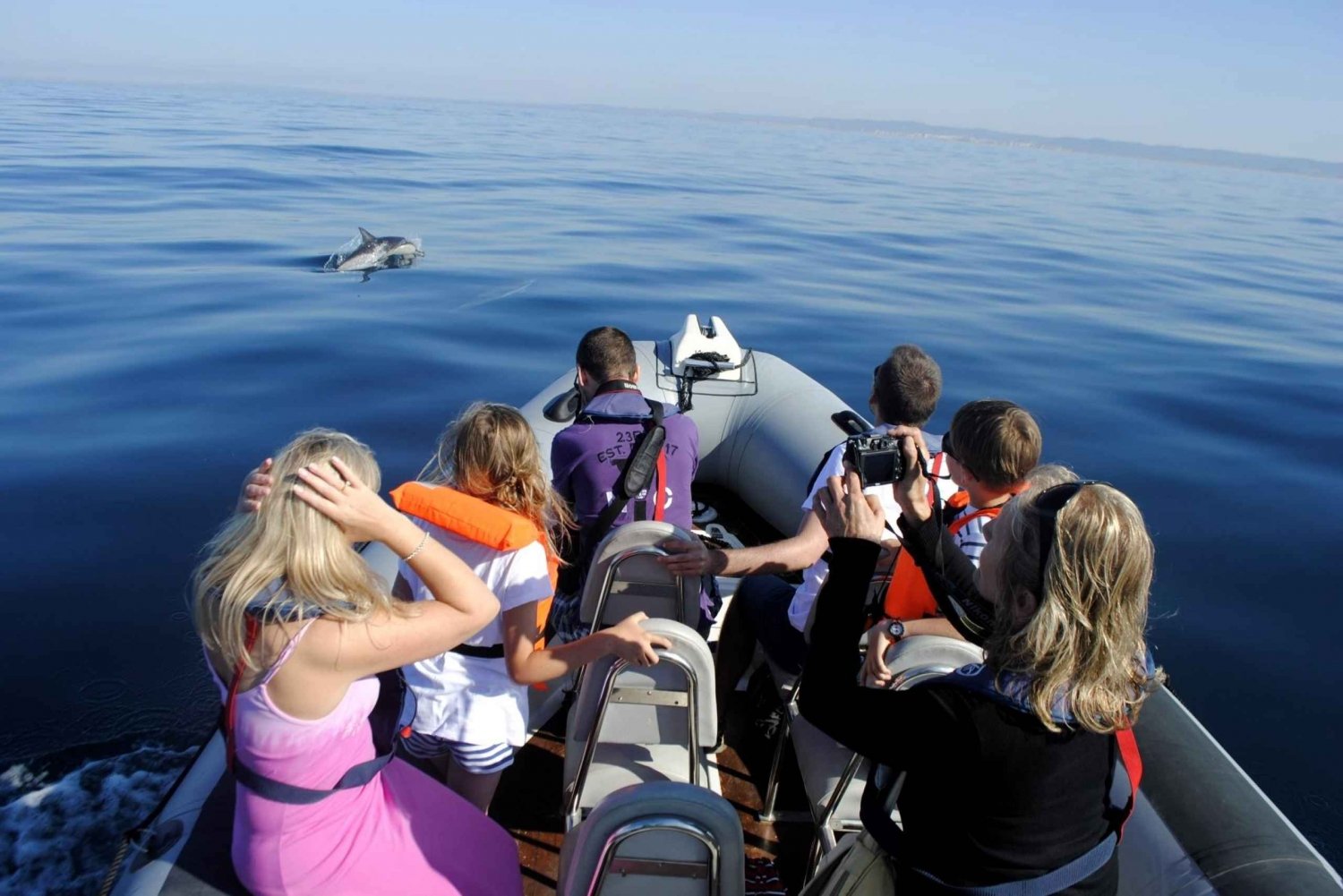 Tour ecologico dell'Algarve per l'osservazione dei delfini e della fauna marina