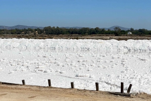 Algarve: E Motor Bike Faro Island Tour via the Ria Formosa