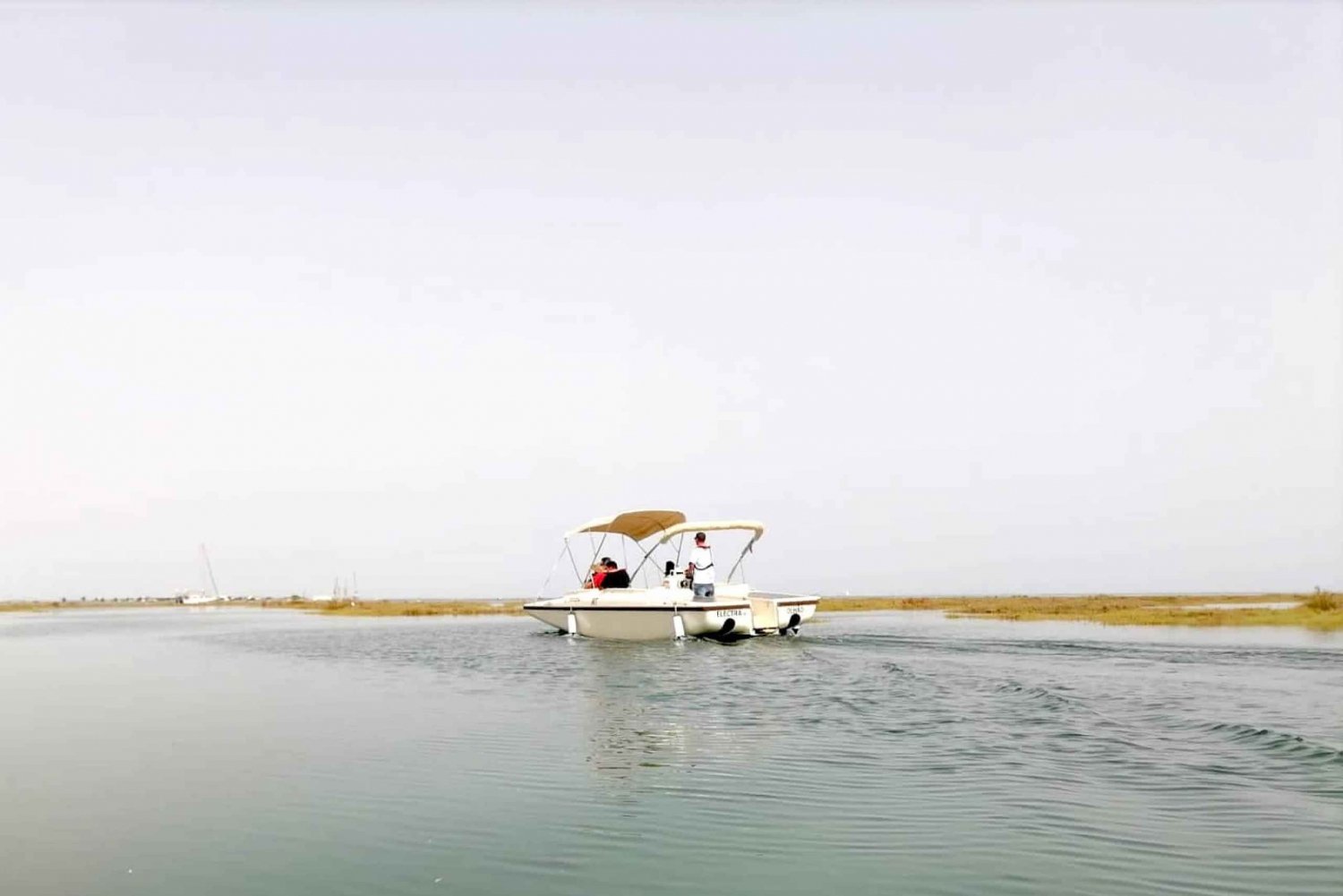 Algarve: Eco Boat Tour in the Ria Formosa lagoon from Faro