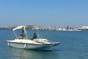 Algarve: Eco Boat Tour in the Ria Formosa lagoon from Faro