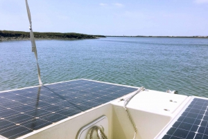 Algarve: Eco Boat Tour in the Ria Formosa lagoon from Faro