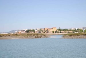 Algarve: Eco Boat Tour in the Ria Formosa Lagoon from Faro
