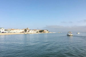 Algarve: Eco Boat Tour in the Ria Formosa lagoon from Faro