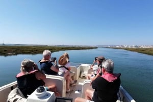 Faro: Ria Formosa Boat Tour by Eco-Friendly Solar Boat