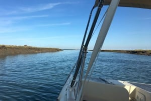 Faro: Ria Formosa Boat Tour by Eco-Friendly Solar Boat