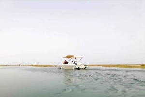 Faro: Ria Formosa Boat Tour by Eco-Friendly Solar Boat