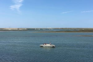 Faro: Ria Formosa Boat Tour by Eco-Friendly Solar Boat