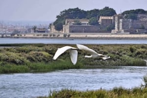 Faro: Ria Formosa Boat Tour by Eco-Friendly Solar Boat