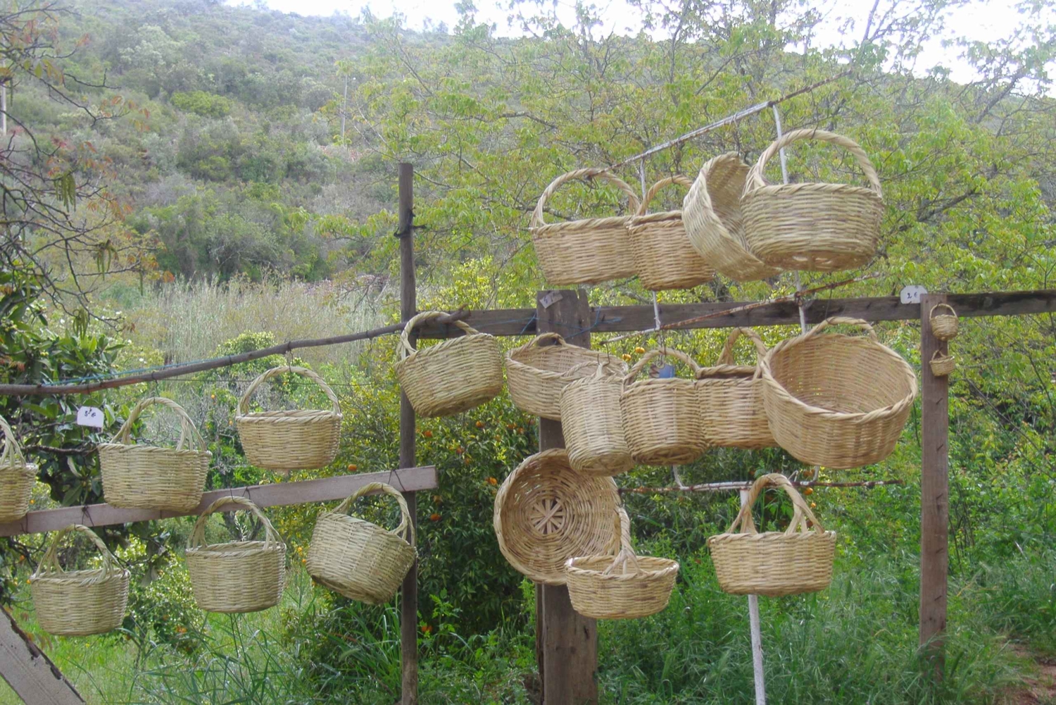 Algarve: Flavors and Traditions Tour