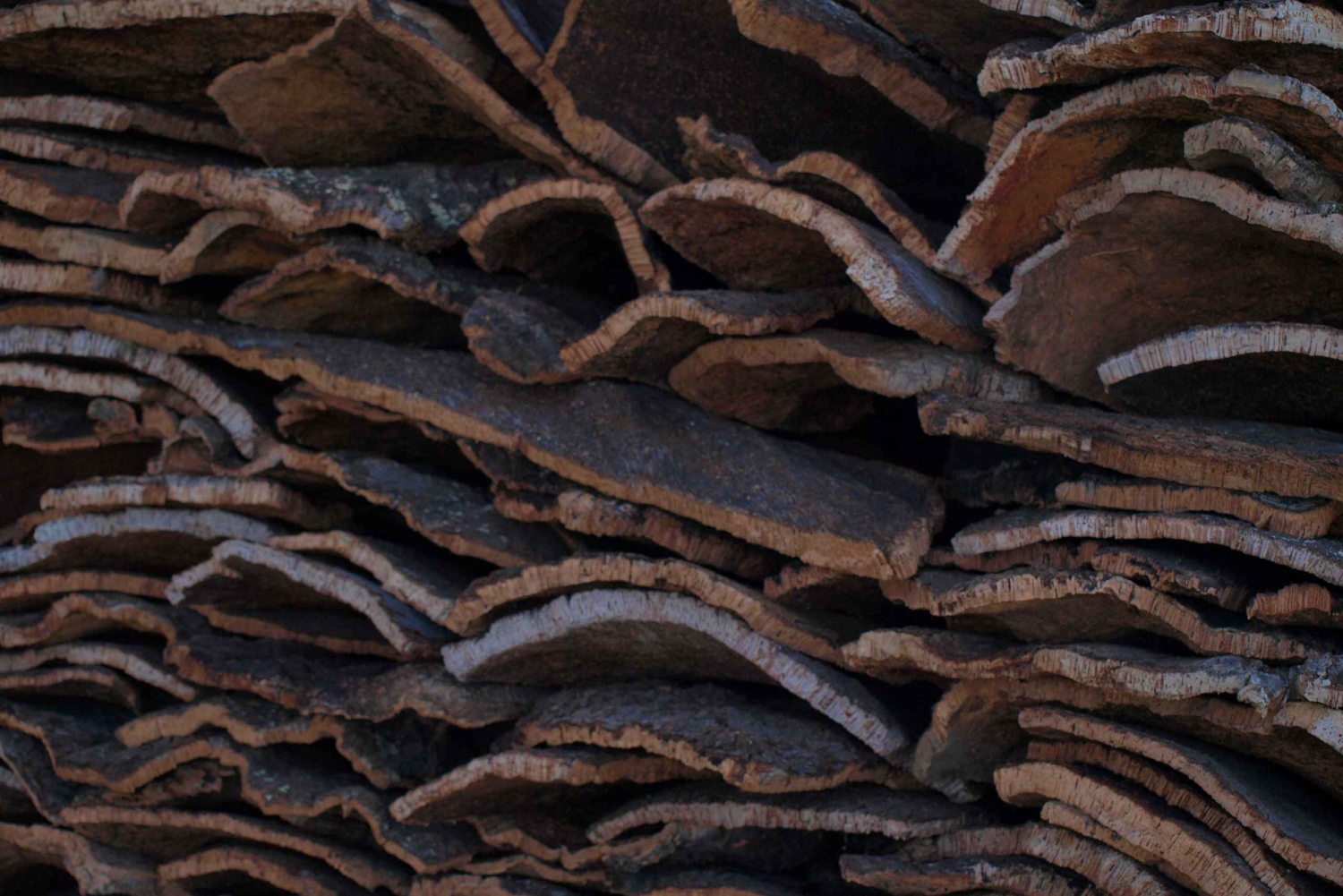 Algarve: Flavors and Traditions Tour