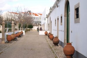 Algarve: Flavors and Traditions Tour