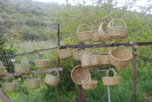 Algarve: Flavors and Traditions Tour