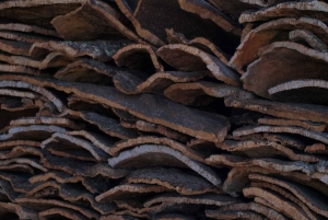 Algarve: Flavors and Traditions Tour