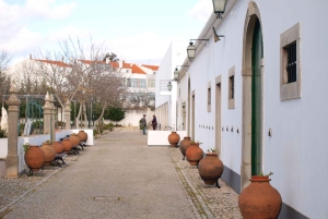 Algarve: Flavors and Traditions Tour