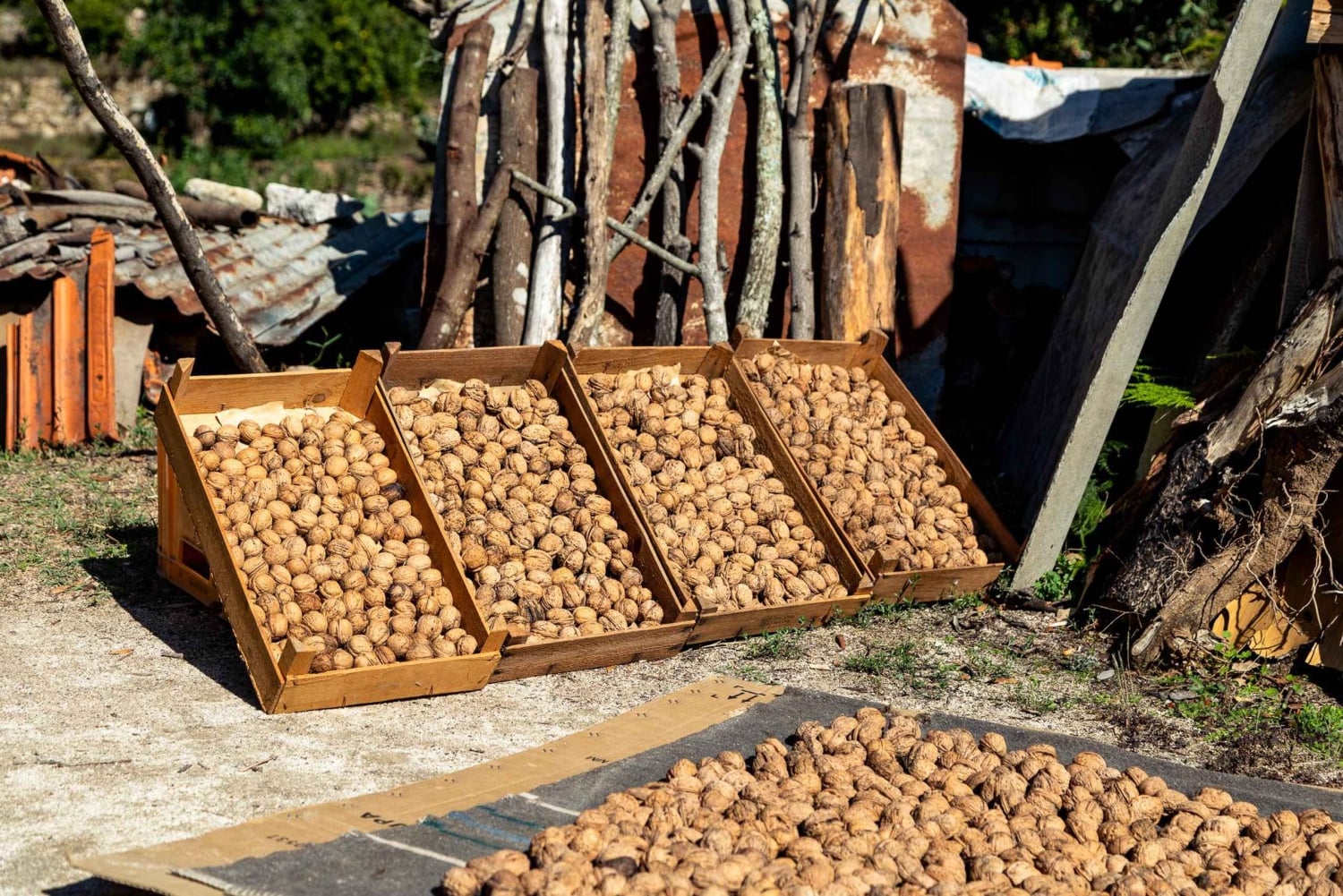 Algarve: całodniowa wycieczka łodzią i jeepem