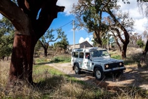 Algarve: Full-Day Boat and Jeep Tour